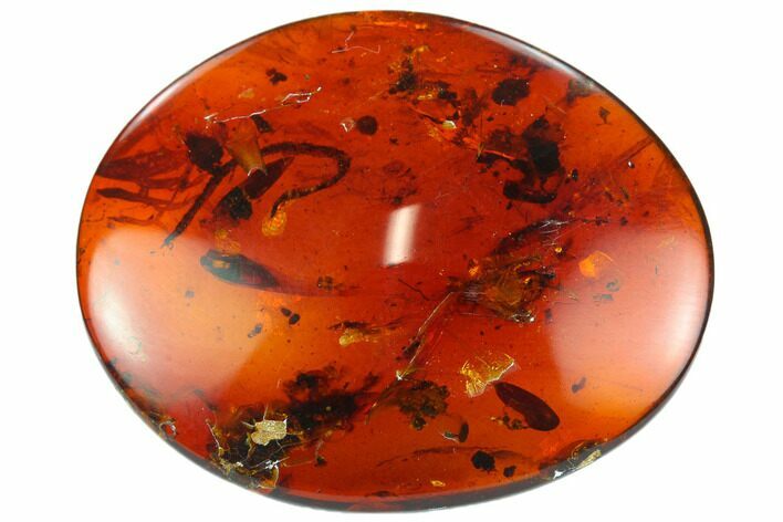 Fossil Cricket And Millipede In Amber - Myanmar #122075